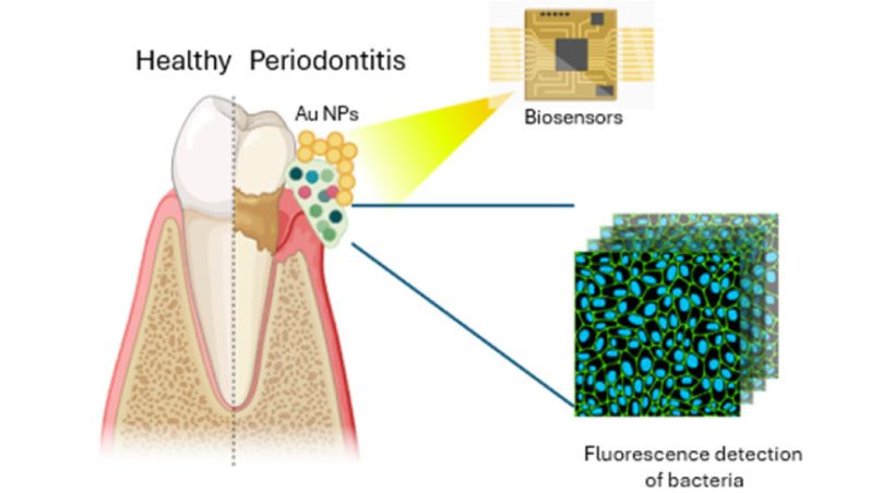 Cómo revolucionará la nanomedicina la odontología y la terapia periodontal del futuro